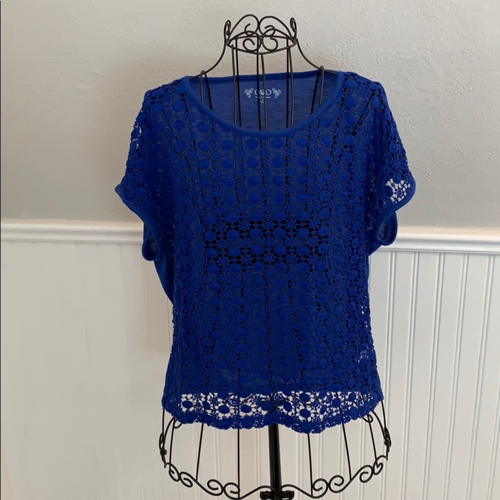 ♥️ CATO Lacy Blue Top Women’s L
